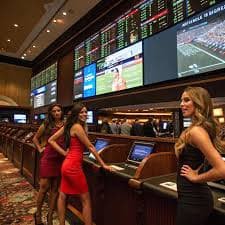ceo casino এ ক্রীড়া ও বিনোদন বিভাগের উপস্থাপনা